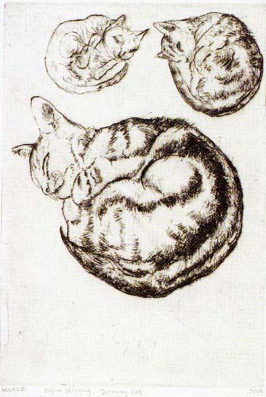m92_-_drowsy_cat.jpg