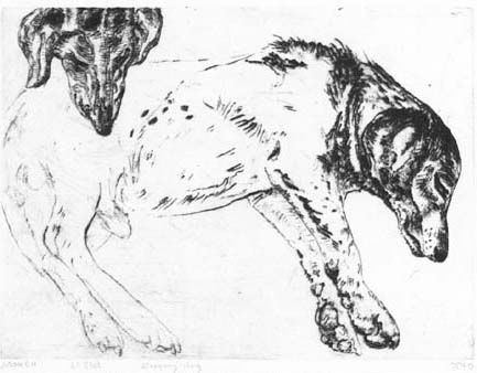 m93_-_sleeping_dog.jpg